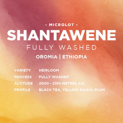 Ethiopia: Shantawene
