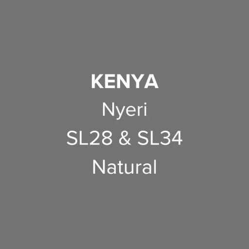Kenya Nyeri Gaikundo SL28 & SL34 Natural