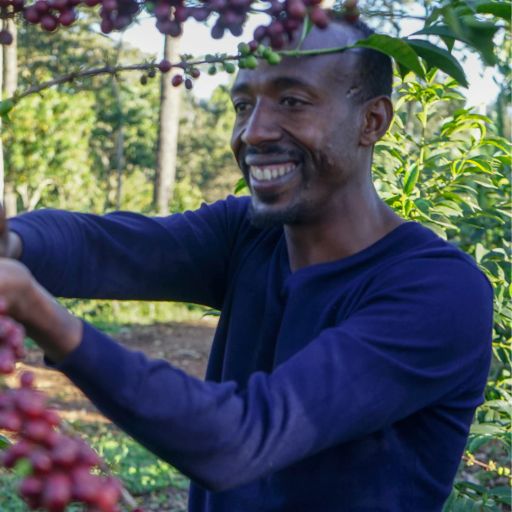 Ethiopia - Kayon Mountain Honey by Ismael Hassen Aredo