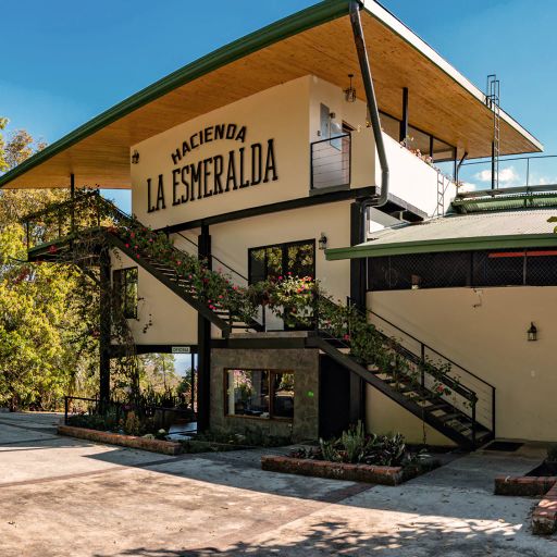 Panama - HLE - Geisha Special Collection