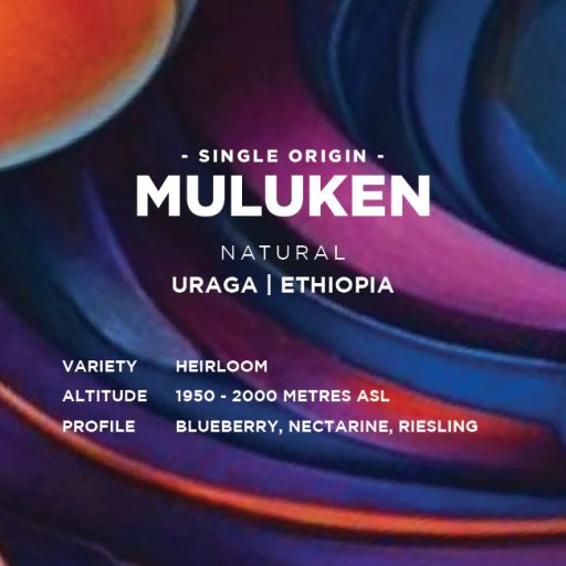 Ethiopia: Muluken