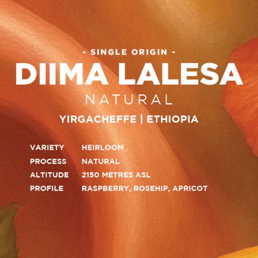 Ethiopia: Diima Lalesa