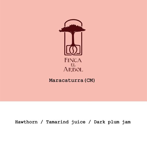 Nicaragua Finca El Árbol Maracatura Carbonic Maceration Natural