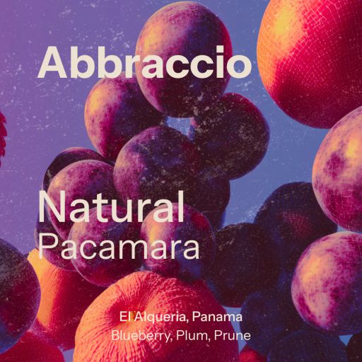 Abbraccio (Panama)