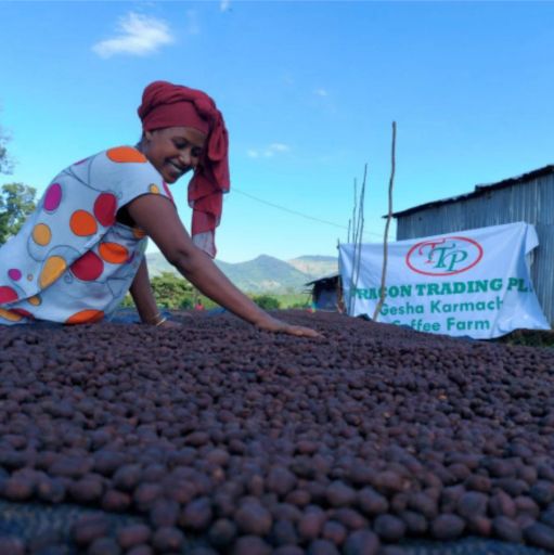 Ethiopia Karmachi Gori Gesha CM Natural