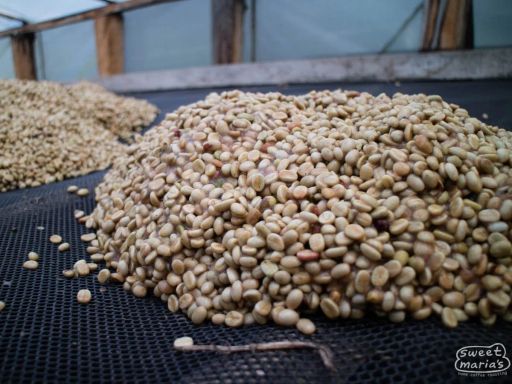 El Páramo, Colombia