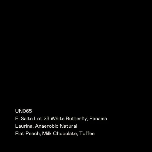 El Salto Lot 23 White Butterfly Laurina Anaerobic Natural