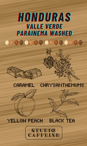 Honduras Valle Verde Parainema Washed