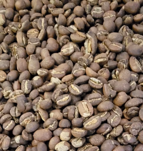 Fuchsia COMSA Espresso Roast