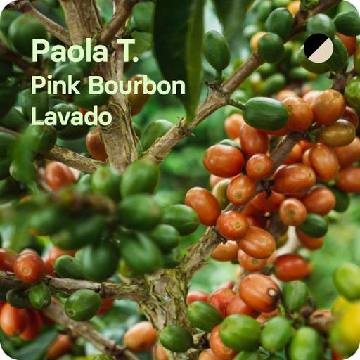 Paola Trujillo, Colombia