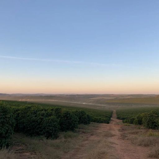 Seasonal Espresso - Bela Vista Natural, Brazil