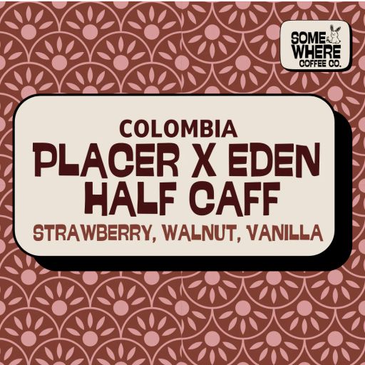 Placer X Eden Half Caff