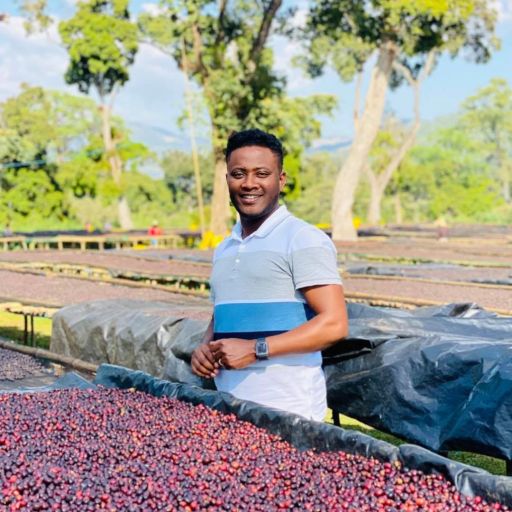 Ethiopia - Alo Coffee - Bombe Delo - Natural (CoE 2021 #2 Farm)