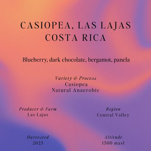 Casiopea, Natural Anaerobic, Las Lajas, Costa Rica