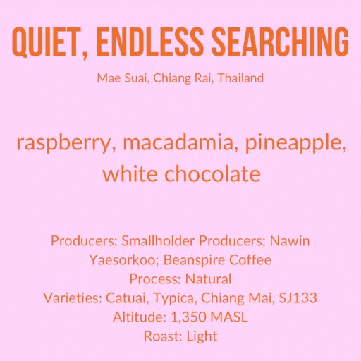 Quiet Endless Searching