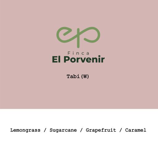 Colombia El Porvenir Tabi Washed