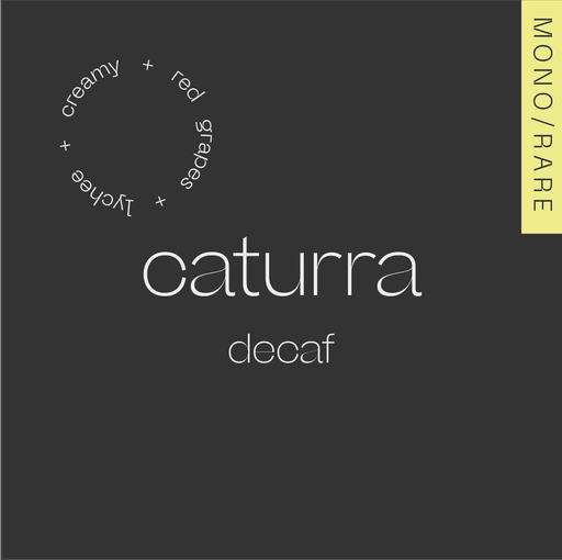 CATURRA DECAF Colombia – Nogales