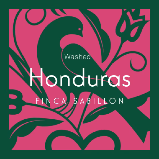 Honduras Finca Sabillon