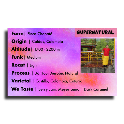 Supernatural (Finca Chapatà - 36 Hour Aerobic Natural)