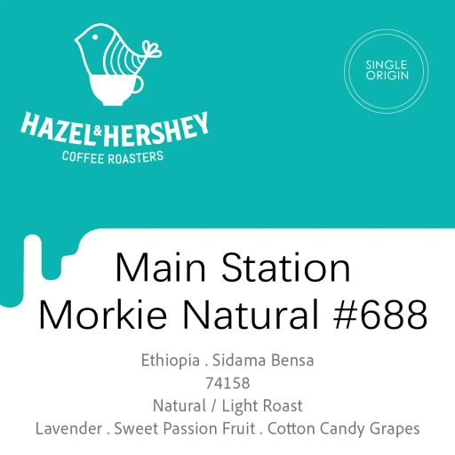 Ethiopia Alo Village Morkie Natural #688