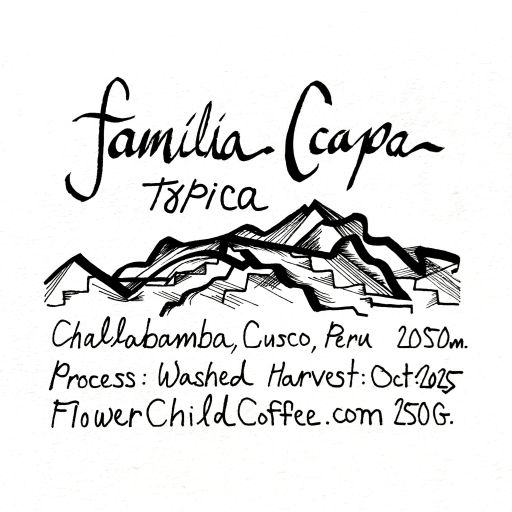 Familia Ccapa - Typica