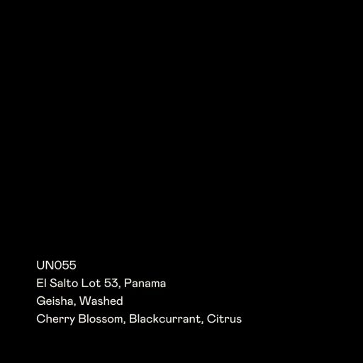 UN055 - El Salto Lot 53, Geisha Washed