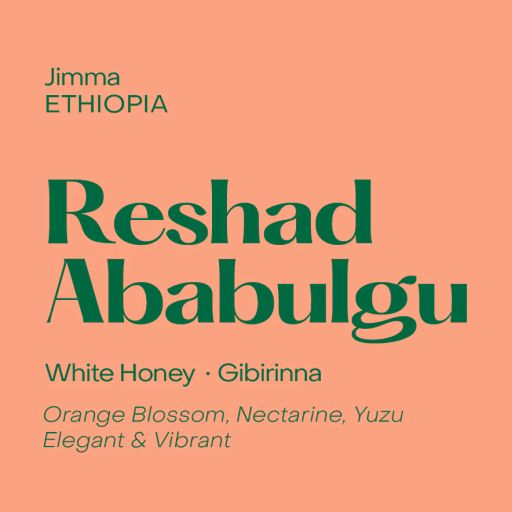 Ethiopia Reshad Ababulgu, White Honey Gibirinna