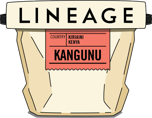 Kenya, Kangunu