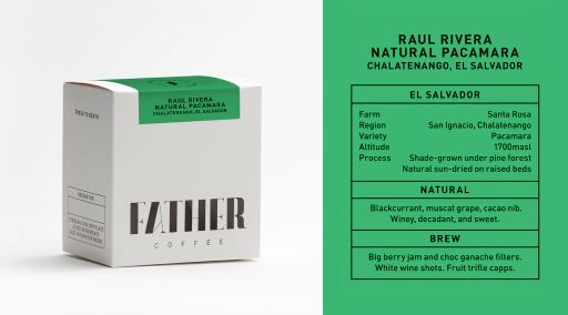 Raul Rivera Natural Pacamara, Chalatenango, El Salvador