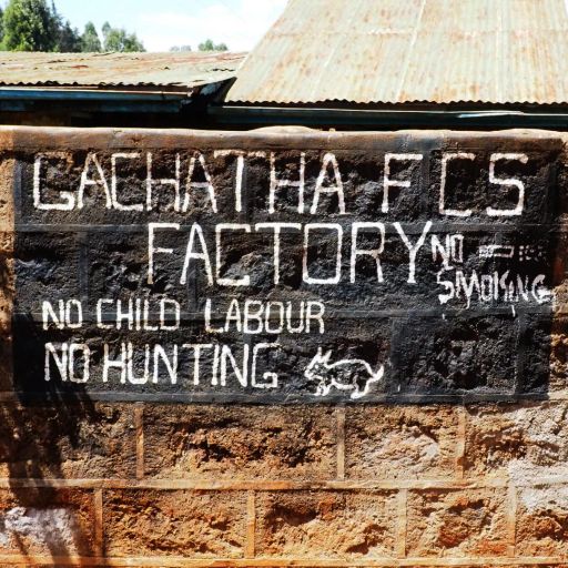 Kenya - Gachatha AB by Gachatha FCS