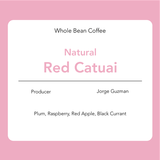 Red Catuai – Natural : Jorge Guzman