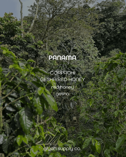 Corpachi Gesha Red Honey