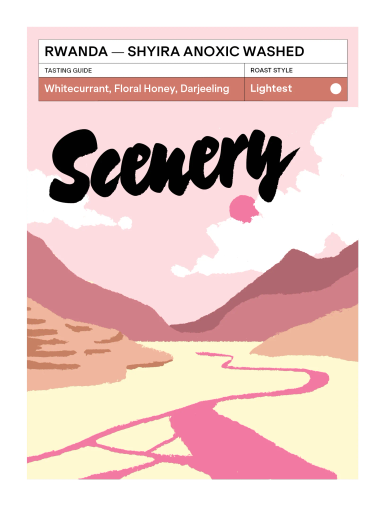 Rwanda - Shyira Anoxic Washed