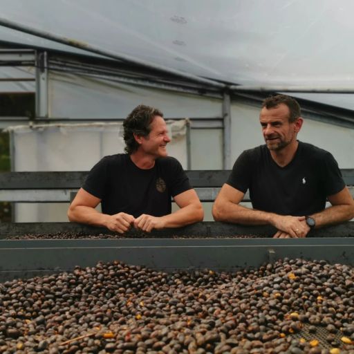 Panama - Iris Estate - Elipse