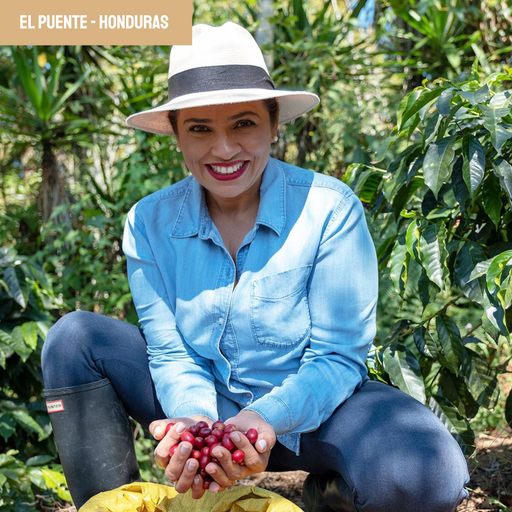 El Puente | Honduras