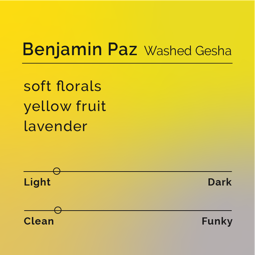 Benjamin Paz - Washed Gesha