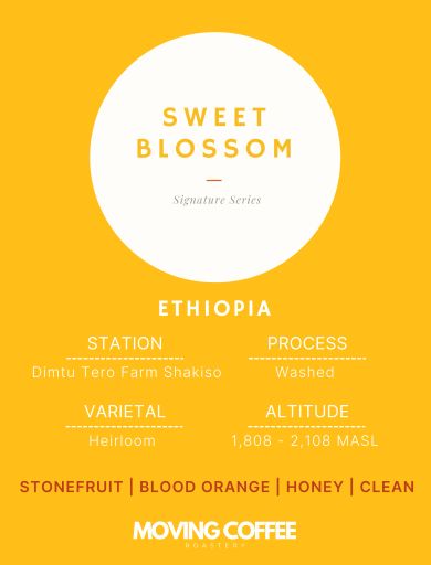 WS4 YVR - Sweet Blossom