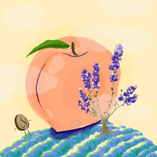 Castillo - Peach Washed - Santa Monica