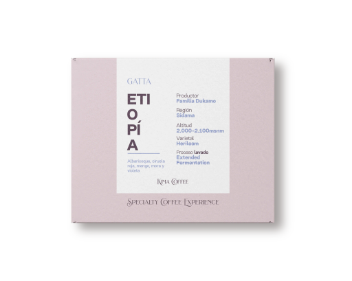 Gatta. Café de Etiopía.