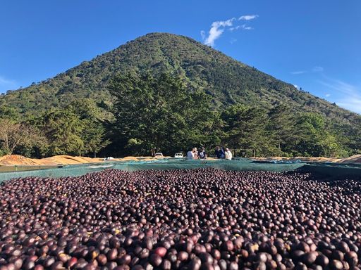 Salwador Los Angeles