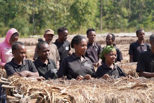 Ethiopia Meseret Kickstart Natural