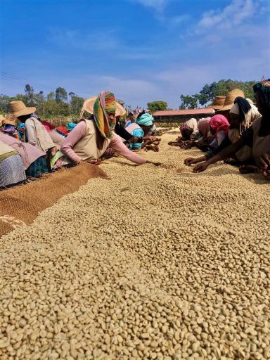 Ethiopia Wonago Factory