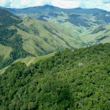 Papua New Guinea Baroida Estate