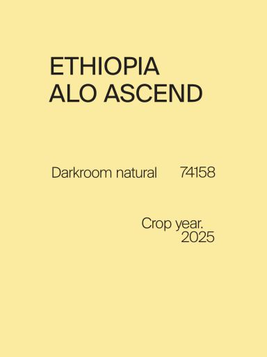 Ethiopia Alo Ascend 74158 Darkroom Natural