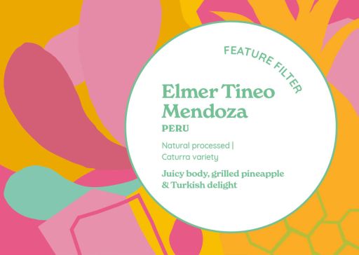 Elmer Tineo Mendoza (Natural)