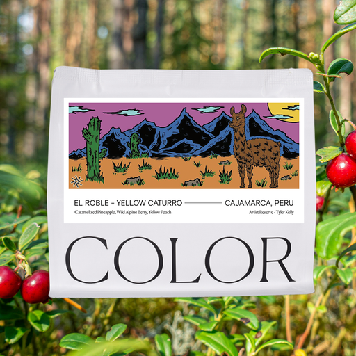 Artist Reserve Peru El Roble - Washed Yellow Caturro