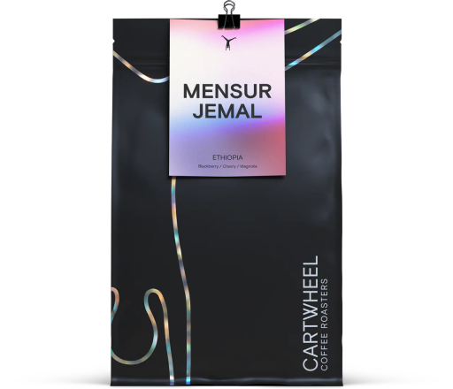 Mensur Abahika Jemal