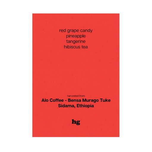 Alo Coffee - Bensa Murago Tuke