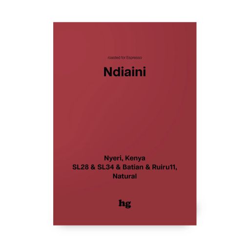 Ndiaini, SL28 & SL34 & Batian & Ruiru11, Natural, Kenya #E