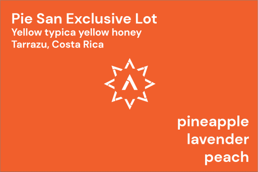 Pie San Exclusive lot